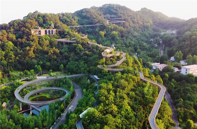 PT视讯集团荣获两项国家级协会工程建设科学技术奖！